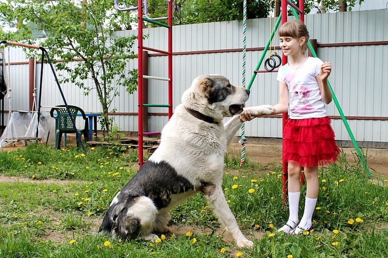 Доча и алабайчик))