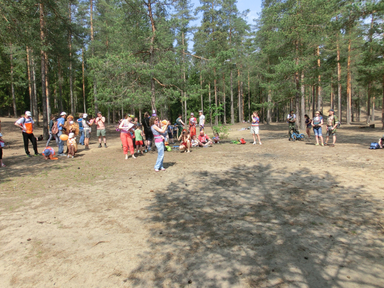 Слингорогейн 2014