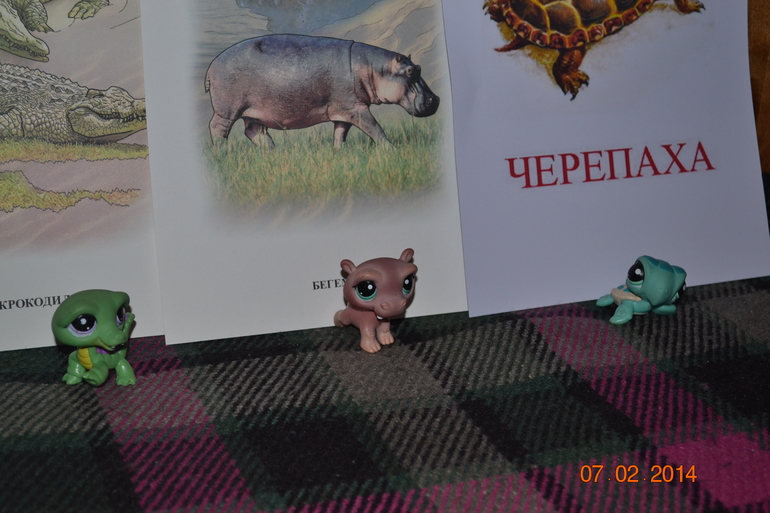 ТЗ