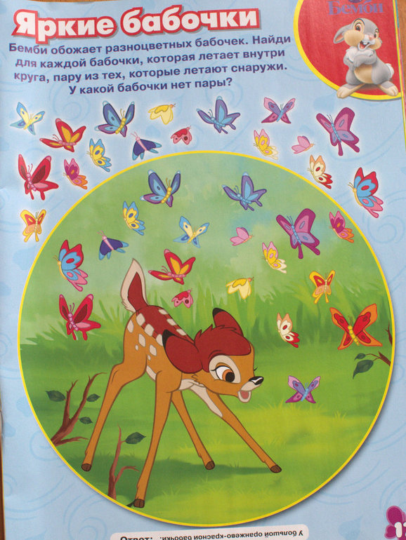 ТЗ "Бабочки-красавицы"