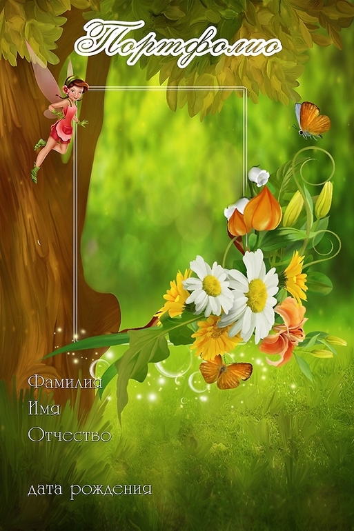 Портфолио
