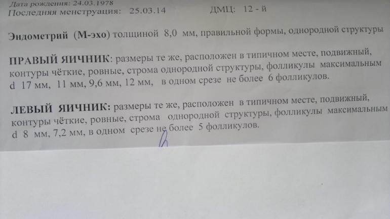 Фолликулометрия. Помогите понять что происходит!?