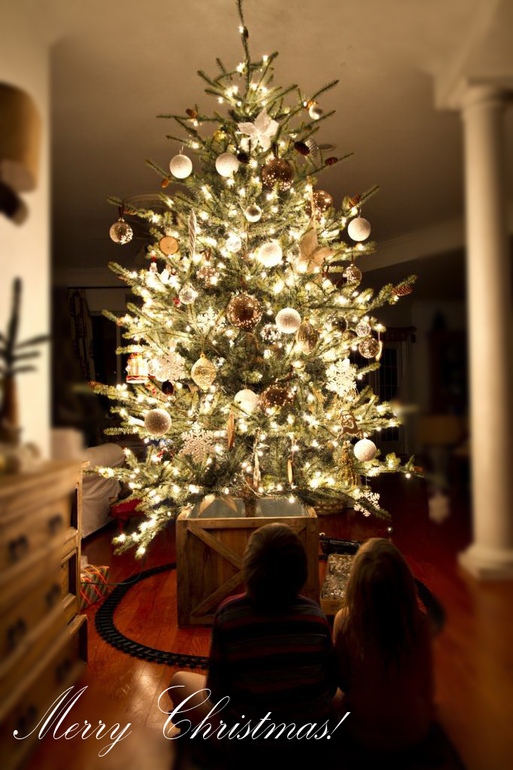 Merry Christmas&Счастливого Рождества!
