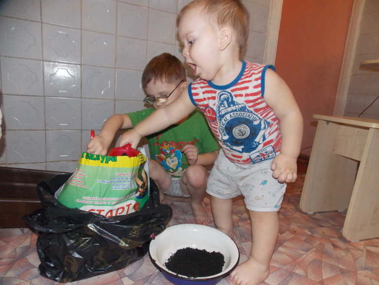 Огородники мои