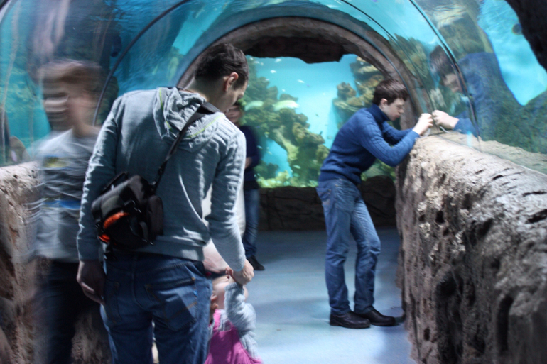 Поход в океанариум!
