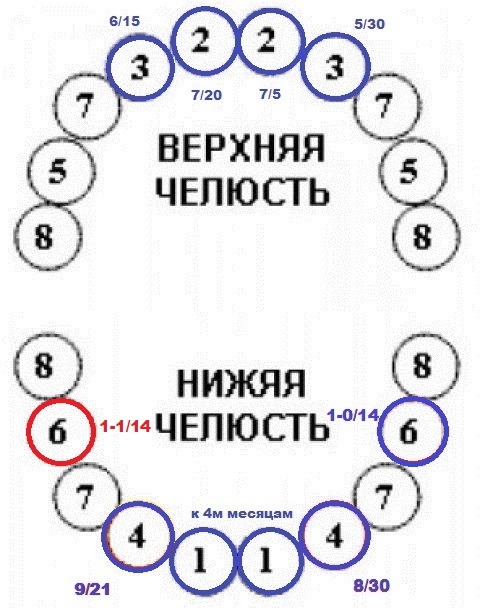 1-1/14 - 10й зуб
