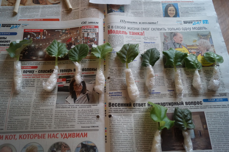 Довольна как слон! Обзавелась фиалочками!