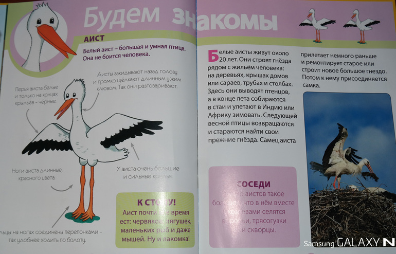 Наши ТД БУКВЫ.