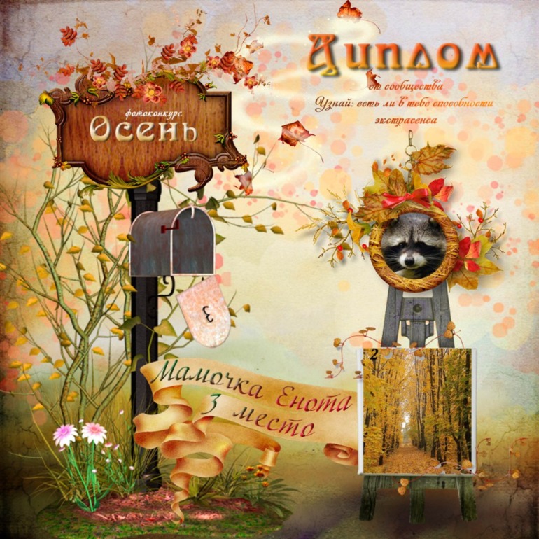 Мои дипломы