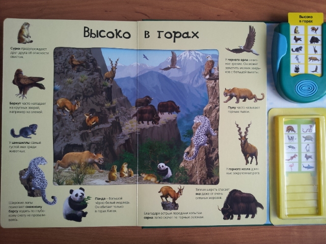 100 волшебных звуков или "Все голоса животных" в одной книге!!!!