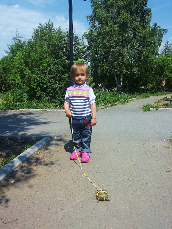 db249e0908fe2057ad1b23470f1a55f9.jpg
