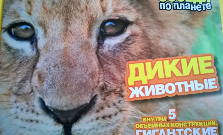ТН Животный мир Африки