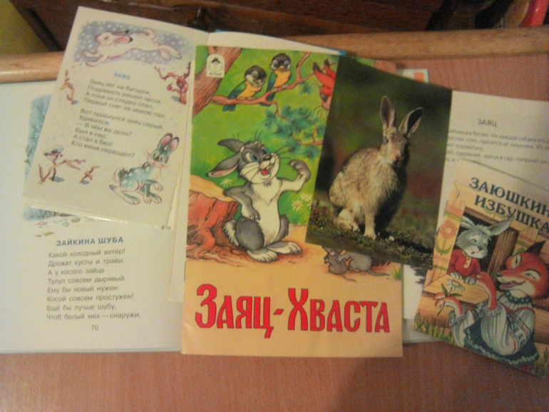 ФМ "Как зимуют животные.Заяц."