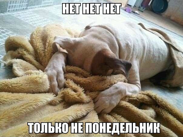:(