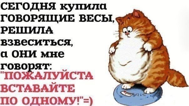 Юмор для поднятия настроения