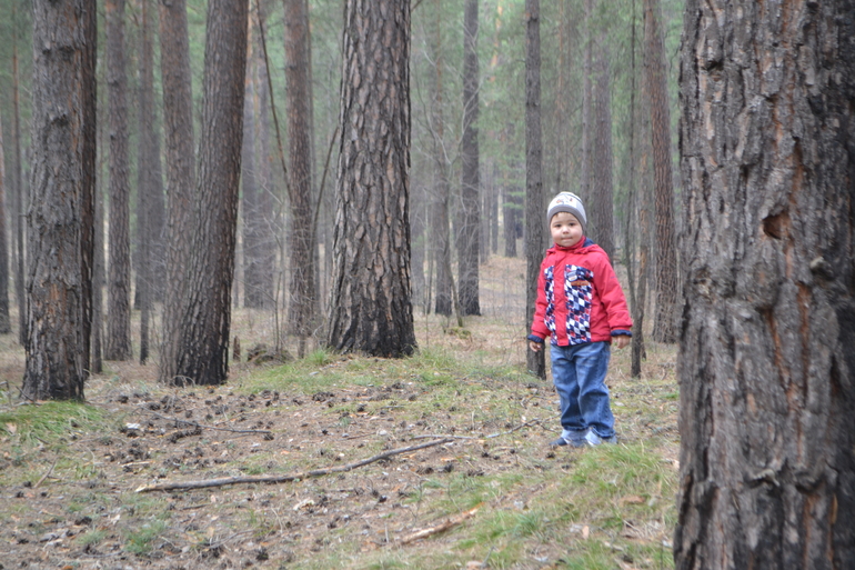 Прогулка в лесу 20.04.2014