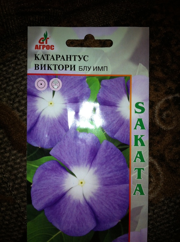 Накупила,буду сажать.