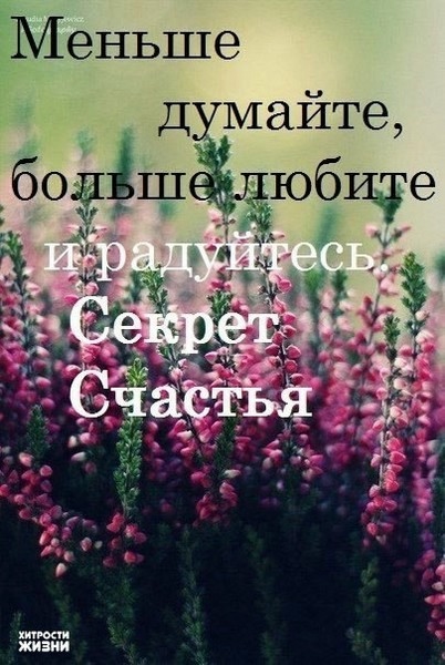 Шесть секретов