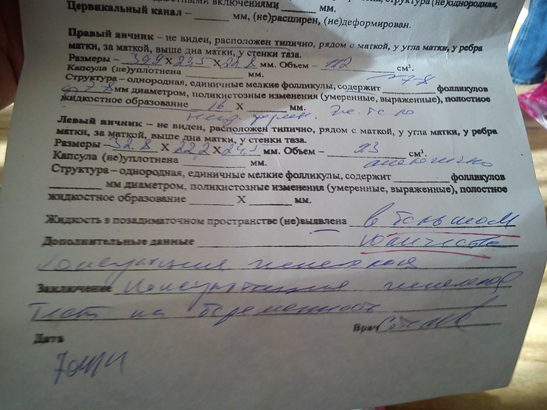 узи малого таза