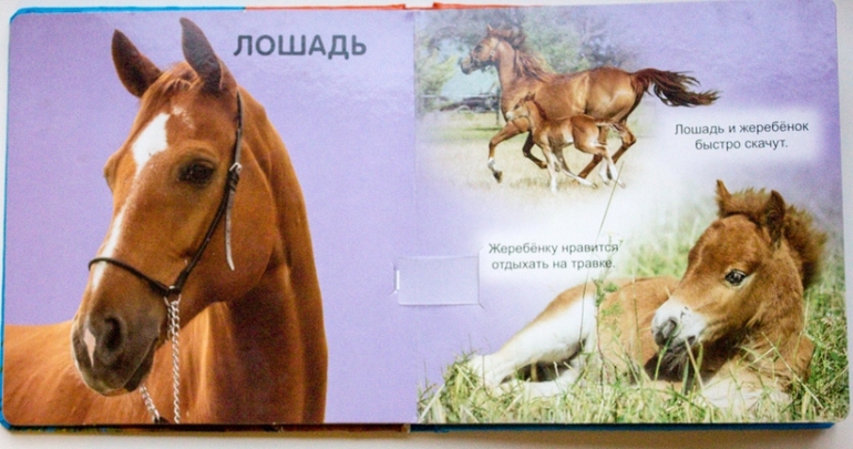 Наши книги до года