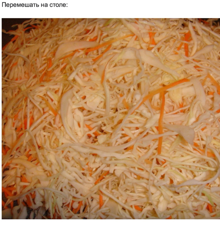 Квашенная капуста