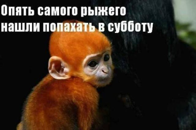 Господи, ну зачем я здесь сегодня???
