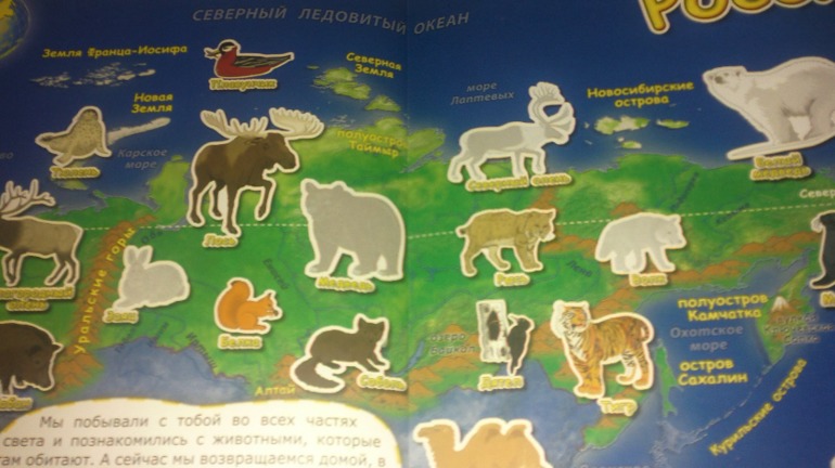 Изучаем географию