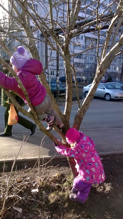 На прогулке...