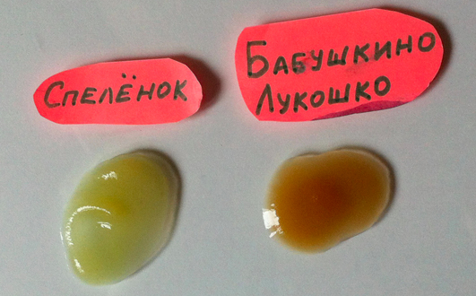 Крахмал в детском питании: цветная капуста, брокколи, кабачок