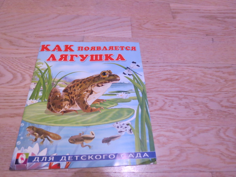 В гостях у сказки: Как нарцисс стал королем болот