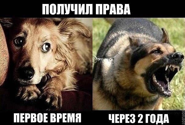 Немного позитива, перед выхами.