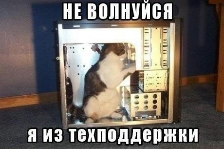 О кошках и не только...