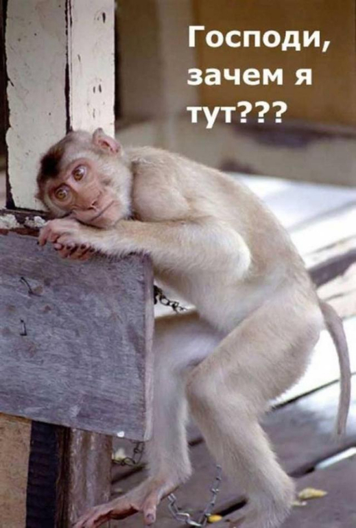 Господи, ну зачем я здесь сегодня???