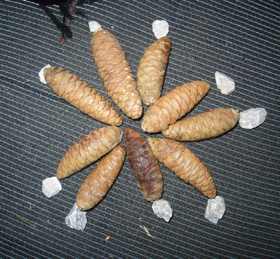Немного математики с шишками