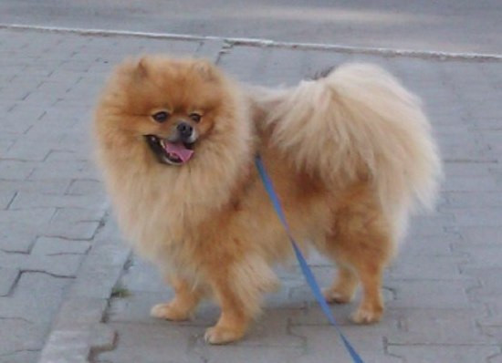 =)