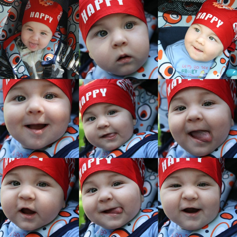 много много фоточек