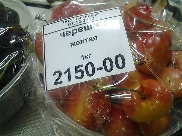 Современные оленеводы!