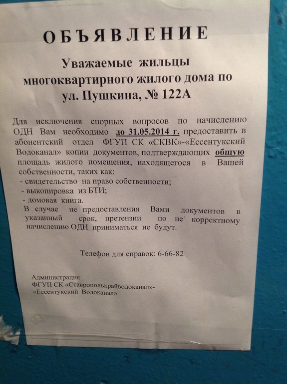 Кусочек жизни