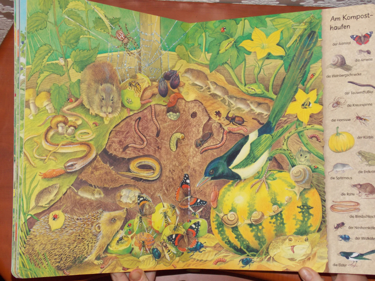 Развороты Mein erstes Wimmelbuch - Hecke und Garten
