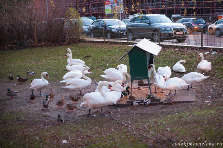 Брюгге, декабрь 2013