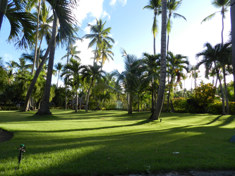 Barcelo Dominicano Beach 4*