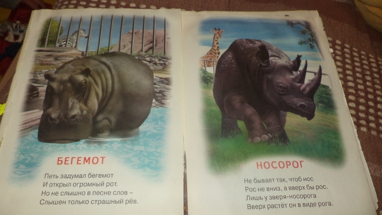 Африка