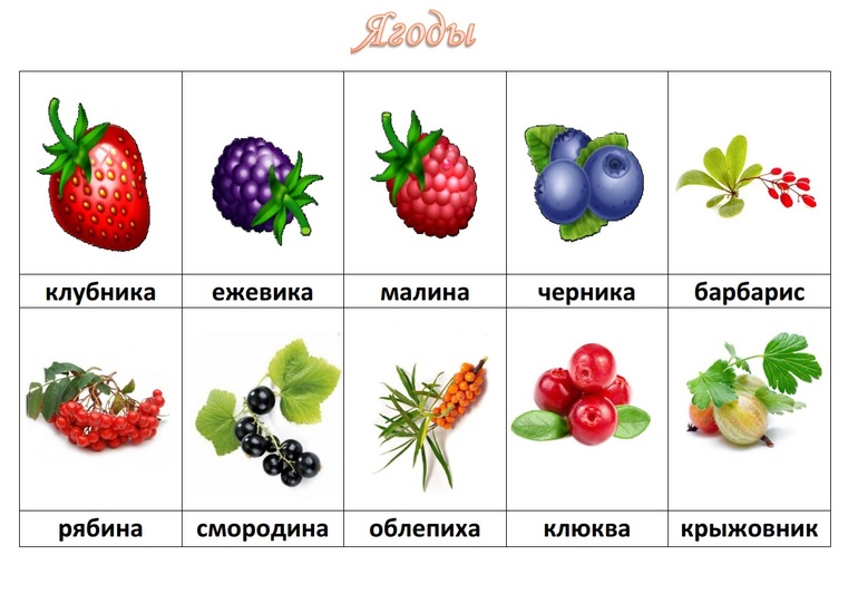 лото