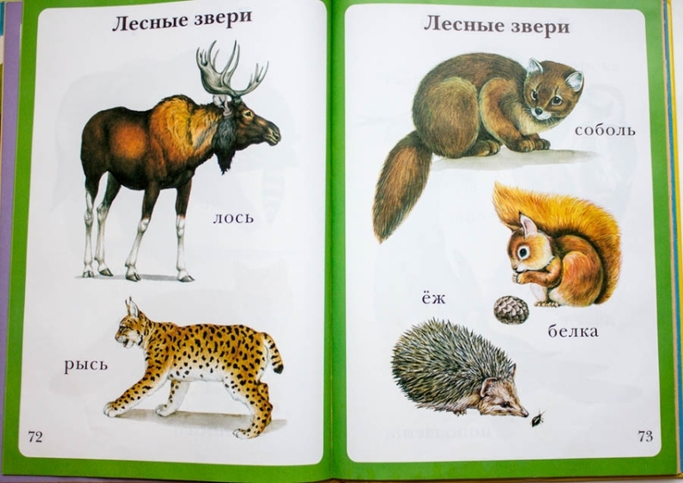 Наши книги до года