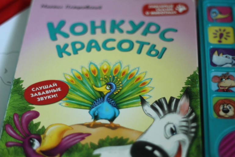 Птицы