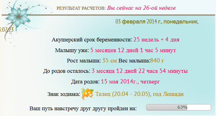 3 УЗИ