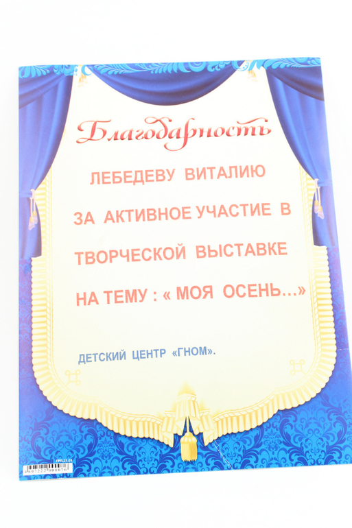 Новогодние поделки и наша первая грамота