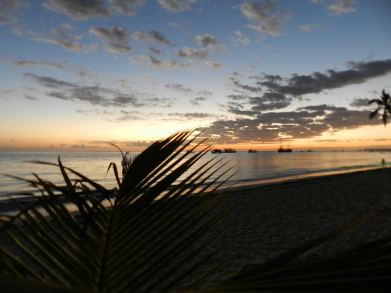 Barcelo Dominicano Beach 4*