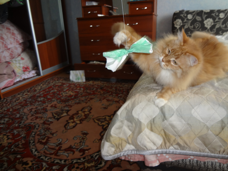 ТН "Мои любимые потешки". День 1 "Котенька-коток".