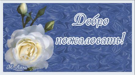 Мой дневничёк))